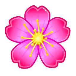 Aster
