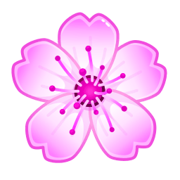 Cosmea