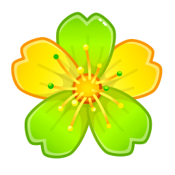 Oxalis