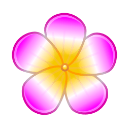 Plumeria