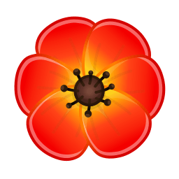 Red Poppy