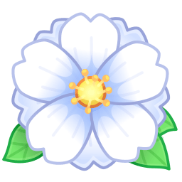 White Peony