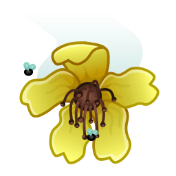 Wilted