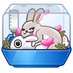 Rabbit Habit