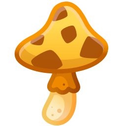 Safari