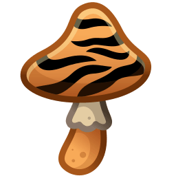 Tiger's Eye