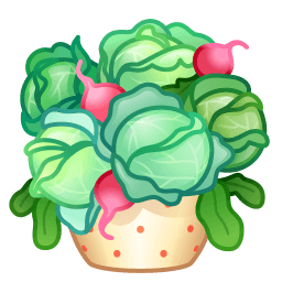 Cabbage