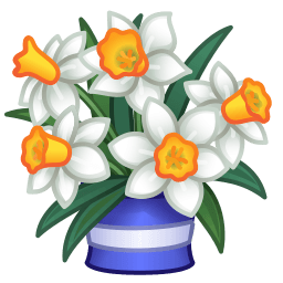 Narcissus