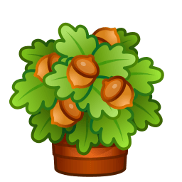 Oak Crown