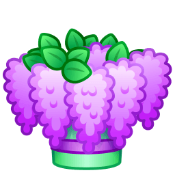 Purple Lilac