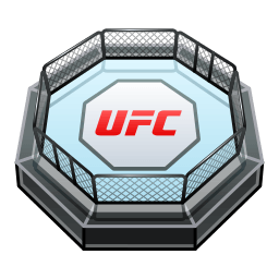 UFC Octagon