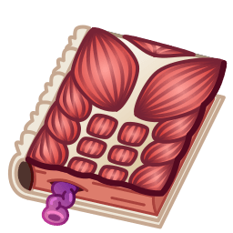 Anatomy