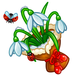 Edelweiss