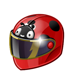 Ladybug