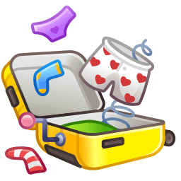 Luggage
