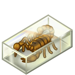 Scorpion