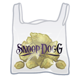 Baggy Bag