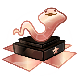 Bronze Award