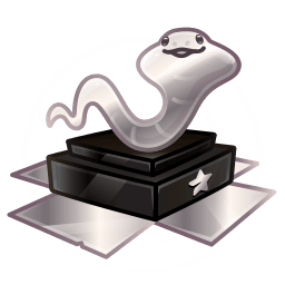 Silver Award